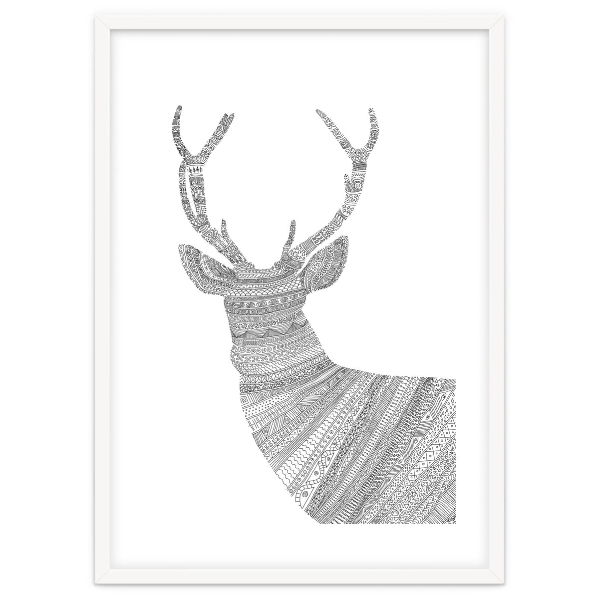 Stag 2
