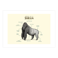 Anatomy of a Gorilla (Print Only)