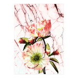 Flowering on pink marble (Print Only) thumbnail