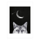 Fox Of The Night (Print Only) thumbnail