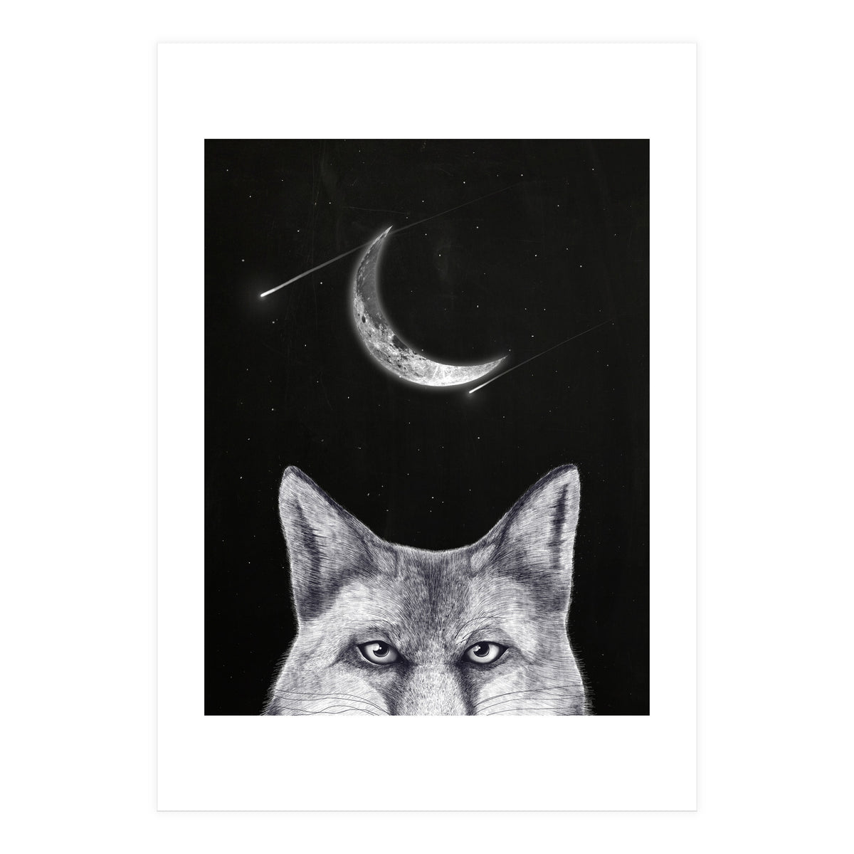 Fox Of The Night (Print Only)