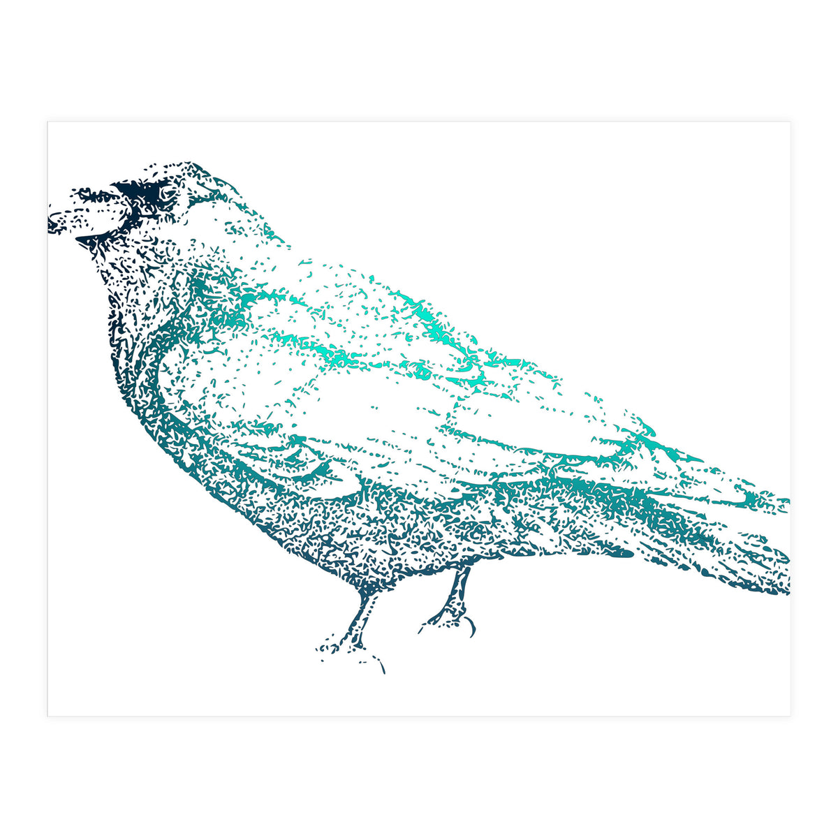 Teal Raven (Print Only)