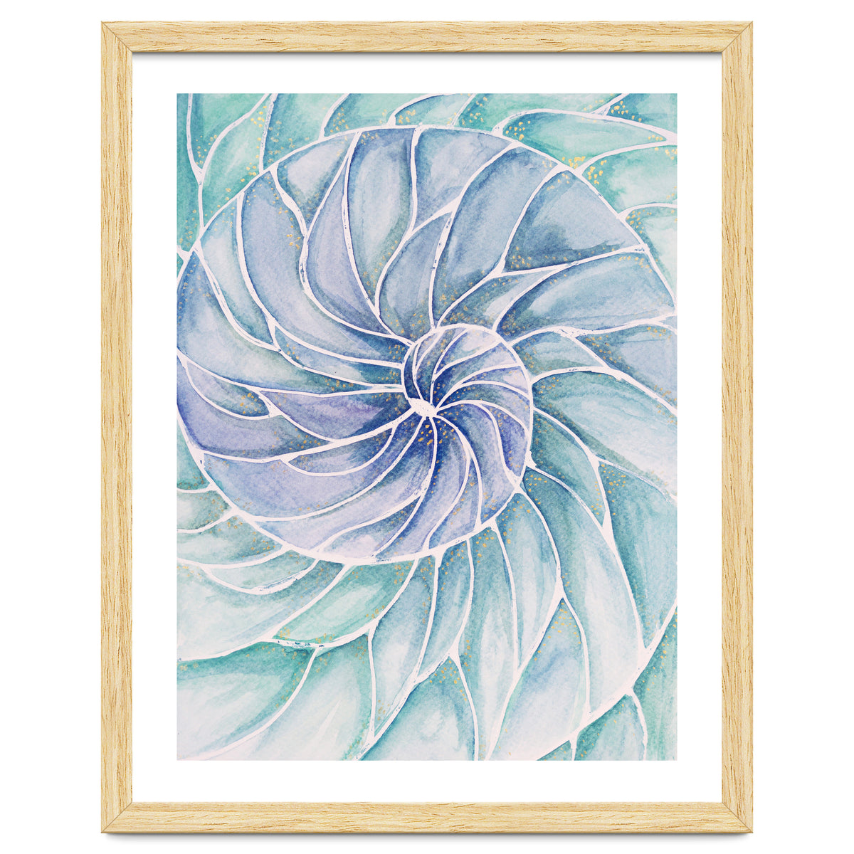 The inside of a shell