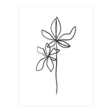 Lines Leaves I (Print Only) thumbnail
