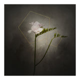 Graceful flower - Freesia | vintage style gold  (Print Only) thumbnail