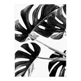 Monstera Black And White 05 (Print Only) thumbnail