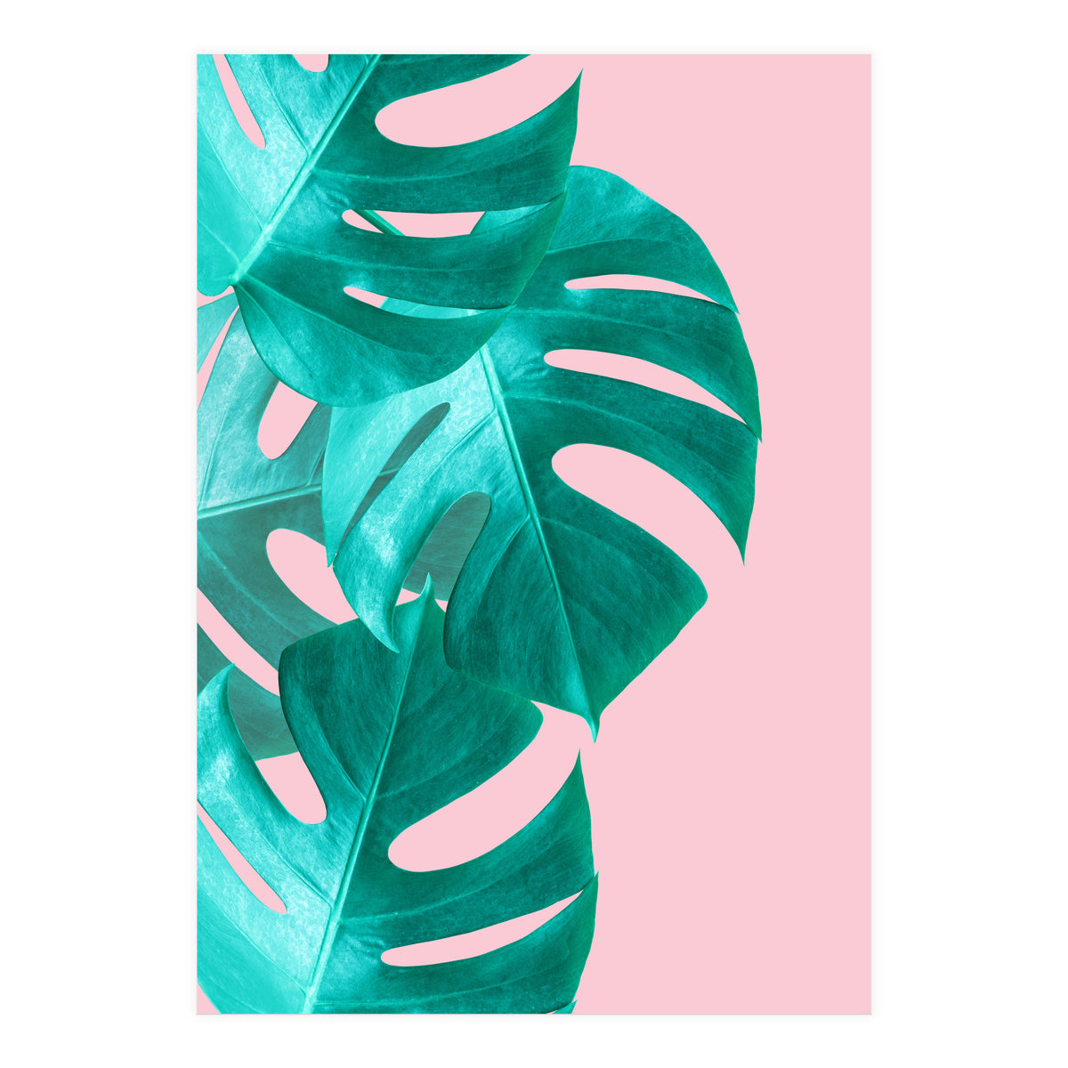 Tropical collage IV (Print Only)