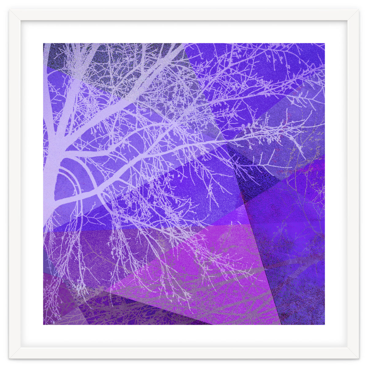 P19-D2 Trees and Triangles