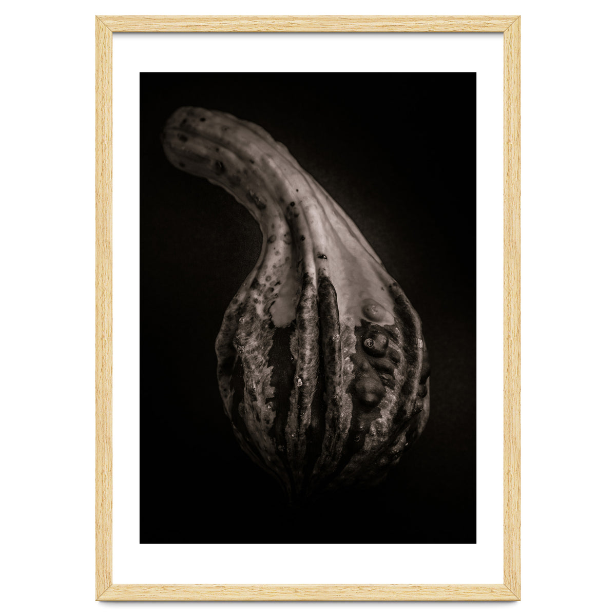 Gourds No 2