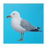 Seagull (Print Only) thumbnail