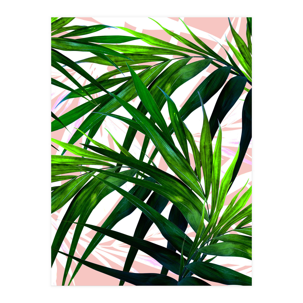 Dream paradise  (Print Only)