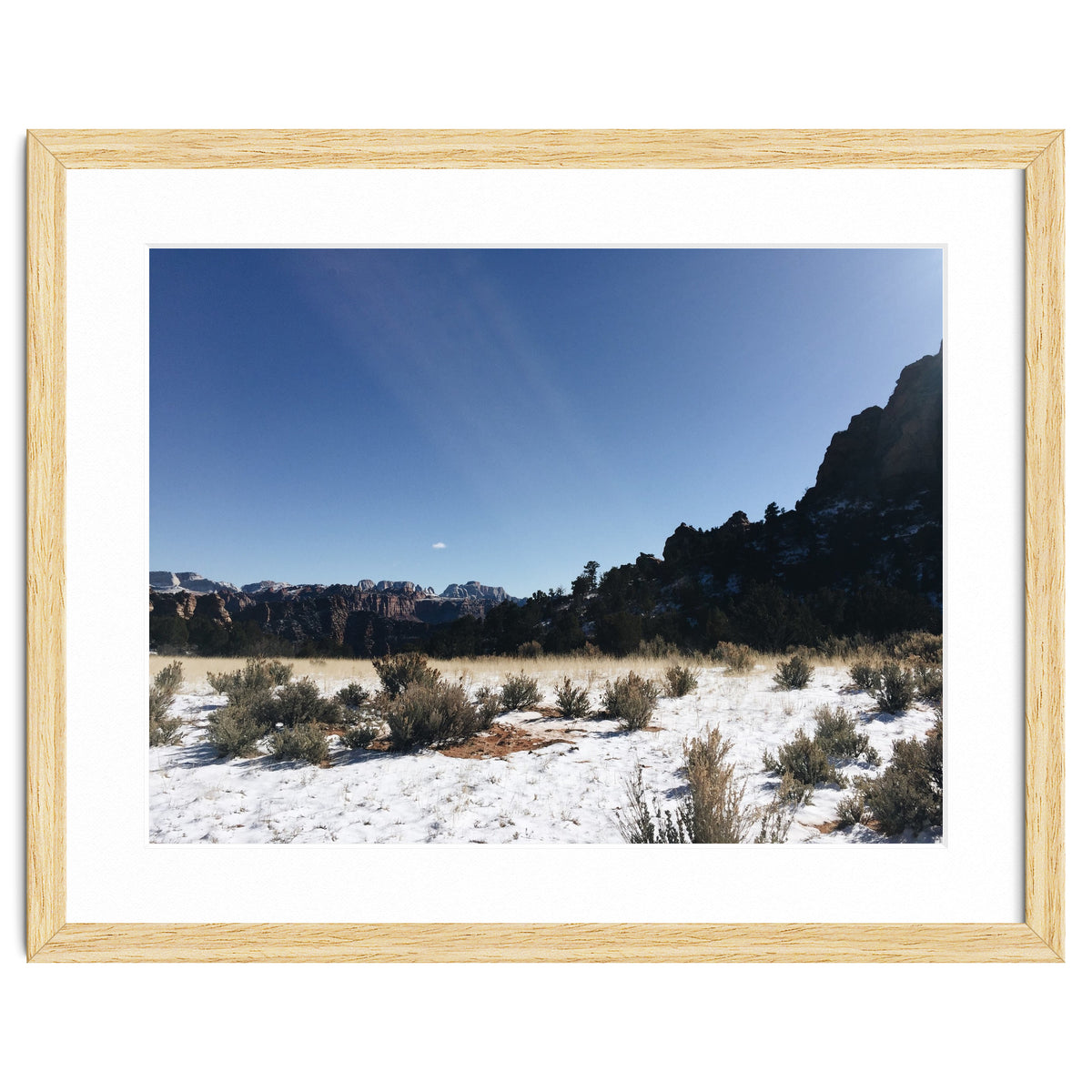 Zion National Park II