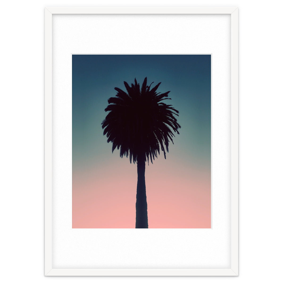 Sundown Palm
