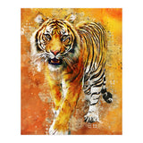 Tiger (Print Only) thumbnail