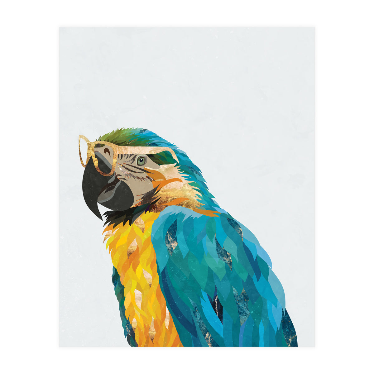 Macaw Portrait wearing gold glasses (Print Only)