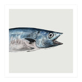 Fish pt1 (Print Only) thumbnail