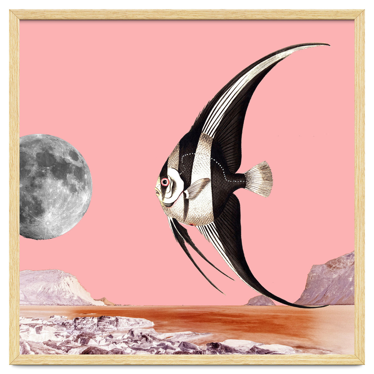 Plenty Of Fish In The Sea Pink