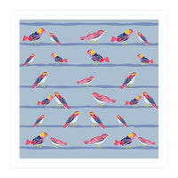 Colorful birds on a wire pattern (Print Only)