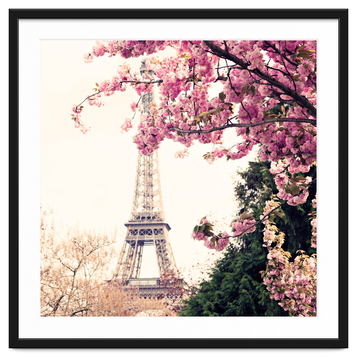 Paris in the Spring