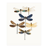 Cc Insects 10 (Print Only) thumbnail