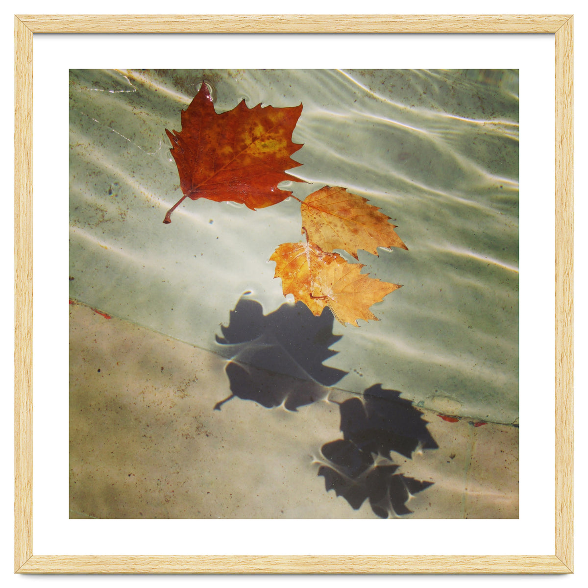 Floating leaves