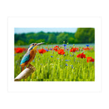 Bird and flower (Print Only) thumbnail