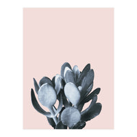 Cactus collection BL-II (Print Only)