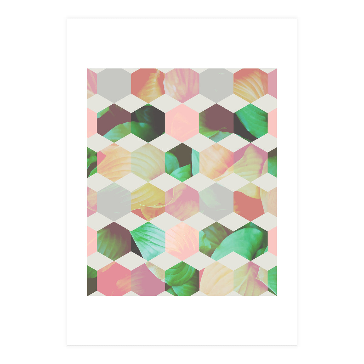 Epsilon (Print Only)