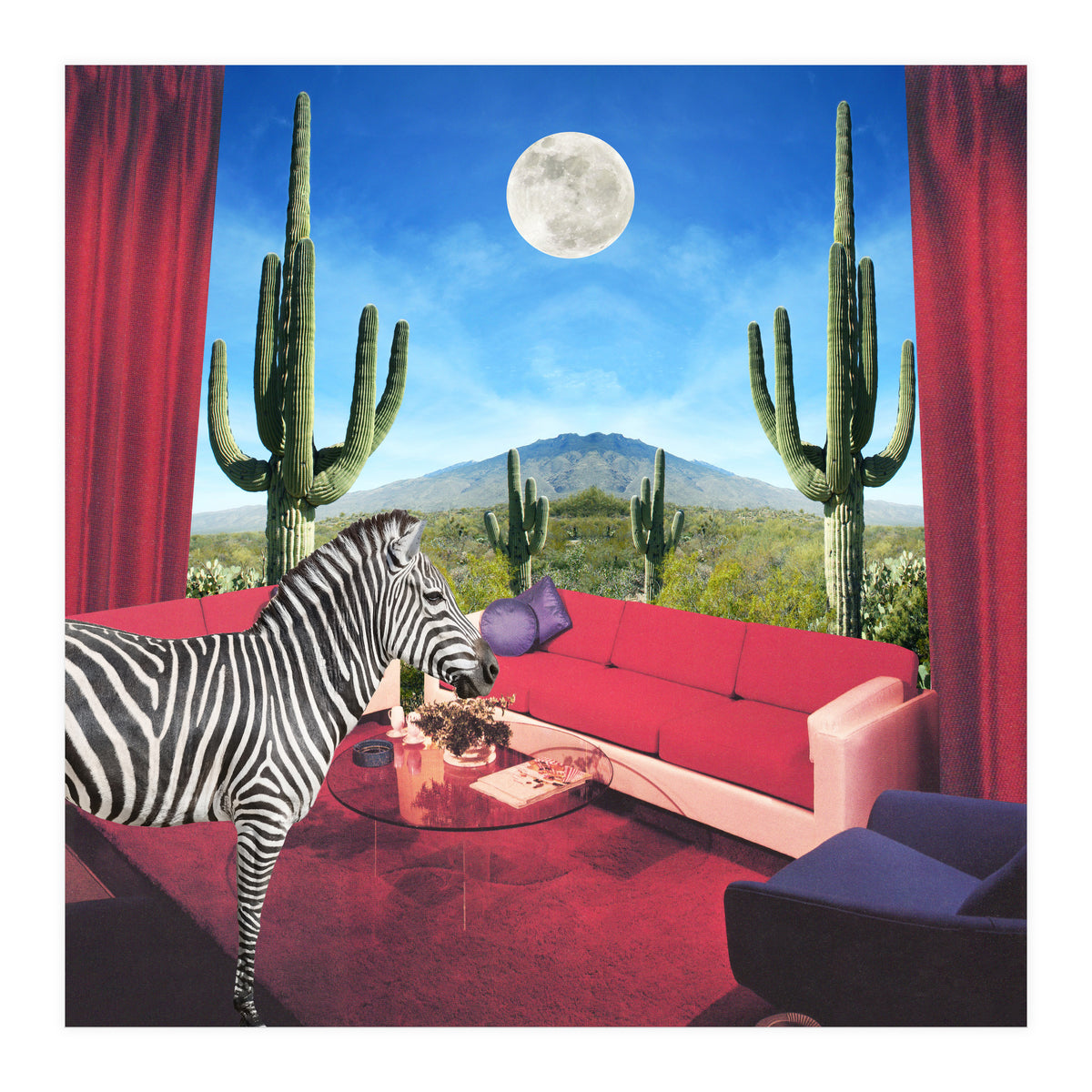 Saguaro Stripes (Print Only)