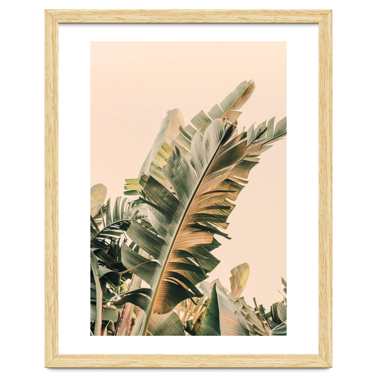 Growing Green Alicia Bock