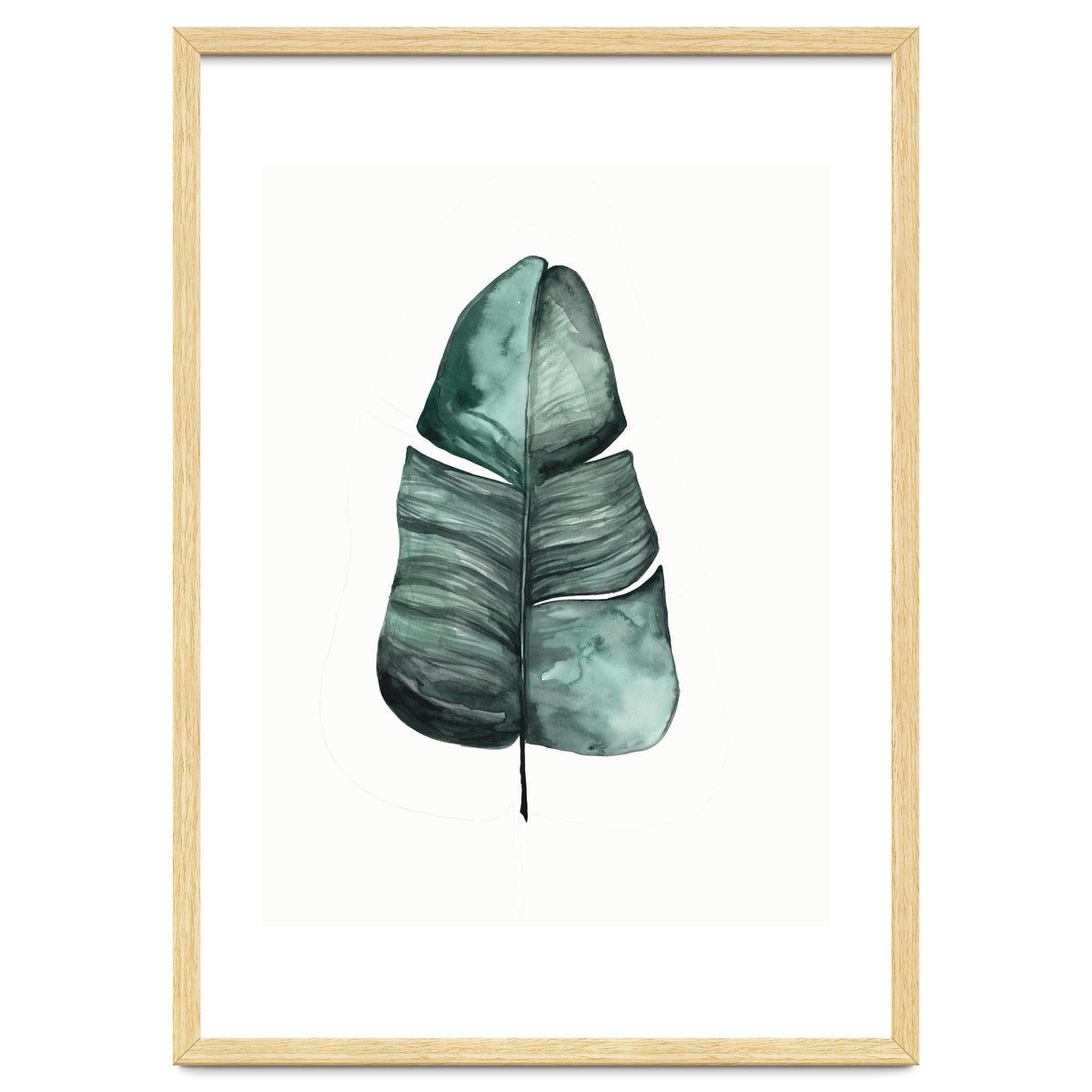 Botanical Illustration Banana Leaf