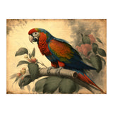 Parrot Vintage Painting (Print Only) thumbnail