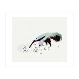 Anteater (Print Only) thumbnail
