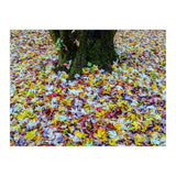 Autumn Leaves (Print Only) thumbnail