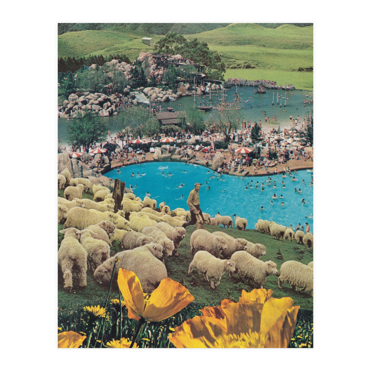 Sheep Farm (Print Only)