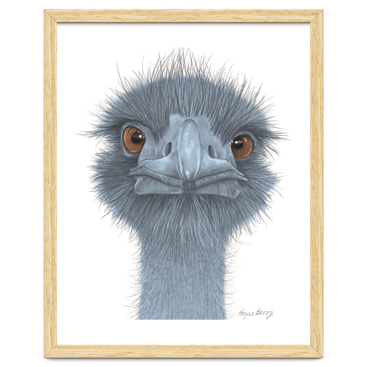 The Blue Emu