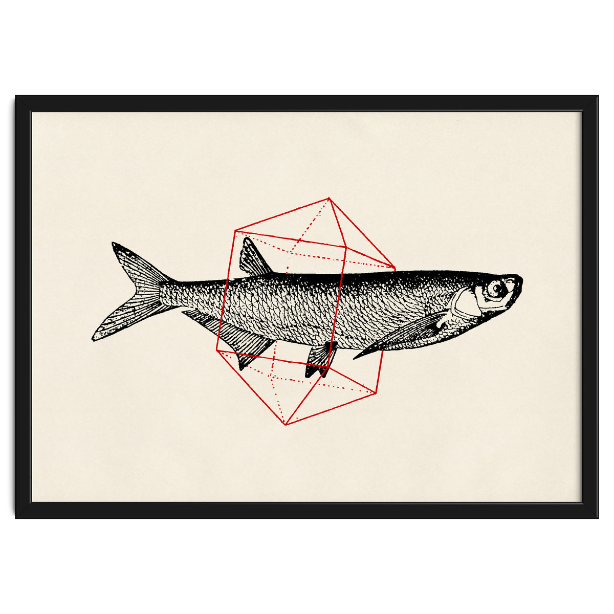Fish In Geometrics II