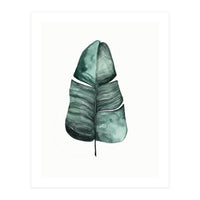 Botanical Illustration Banana Leaf (Print Only)