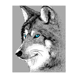 Sketch Wolf (Print Only) thumbnail