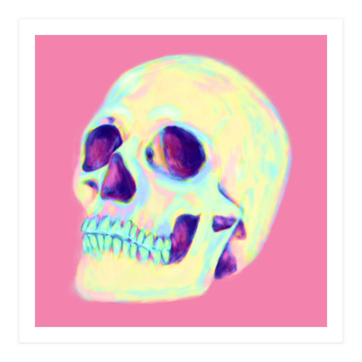 Skull (Print Only)