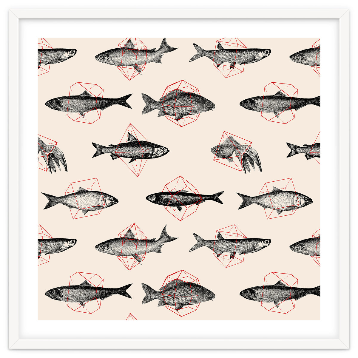 Fish In Geometrics