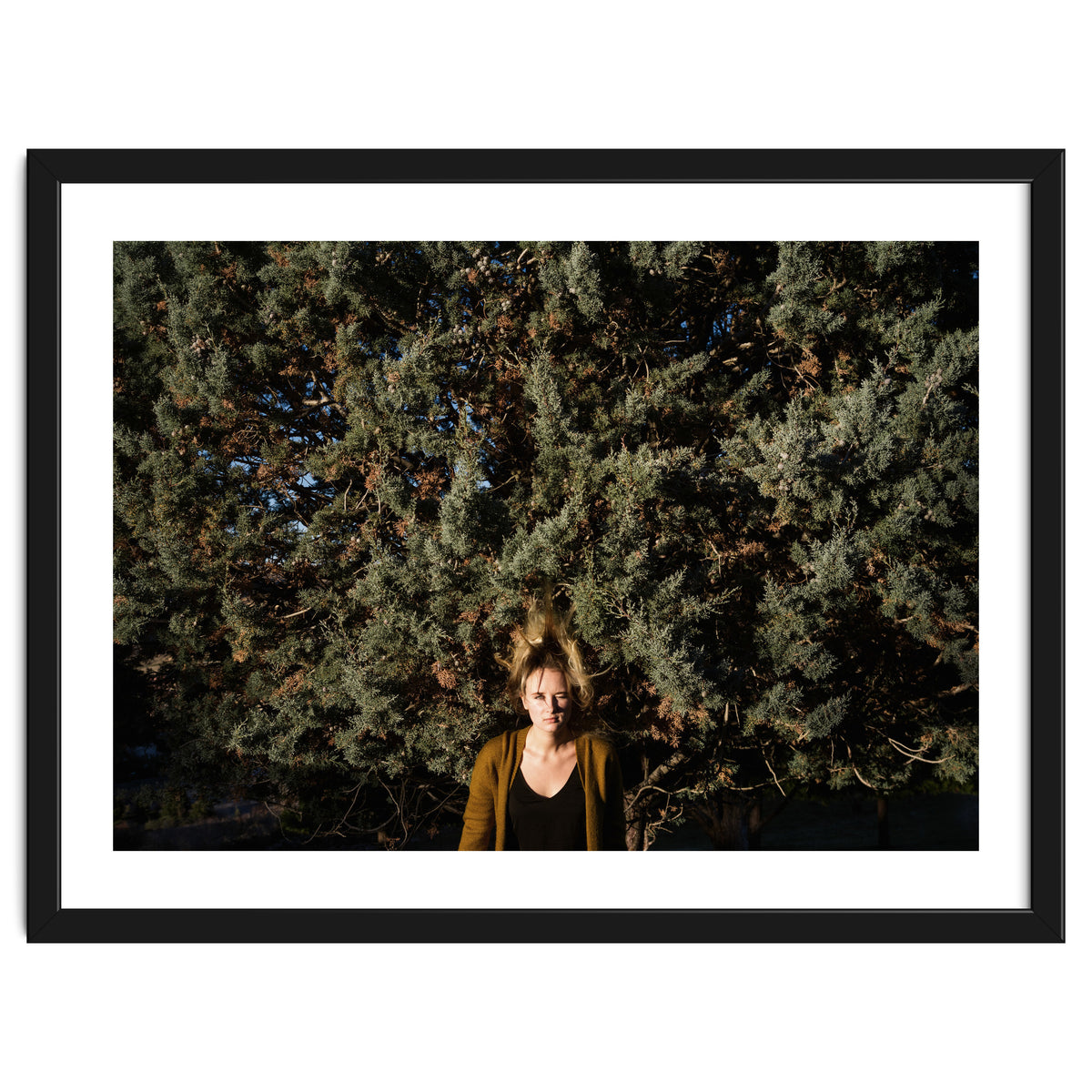 Transition from Summer to Winter