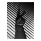 Shadow Bunny (Print Only) thumbnail