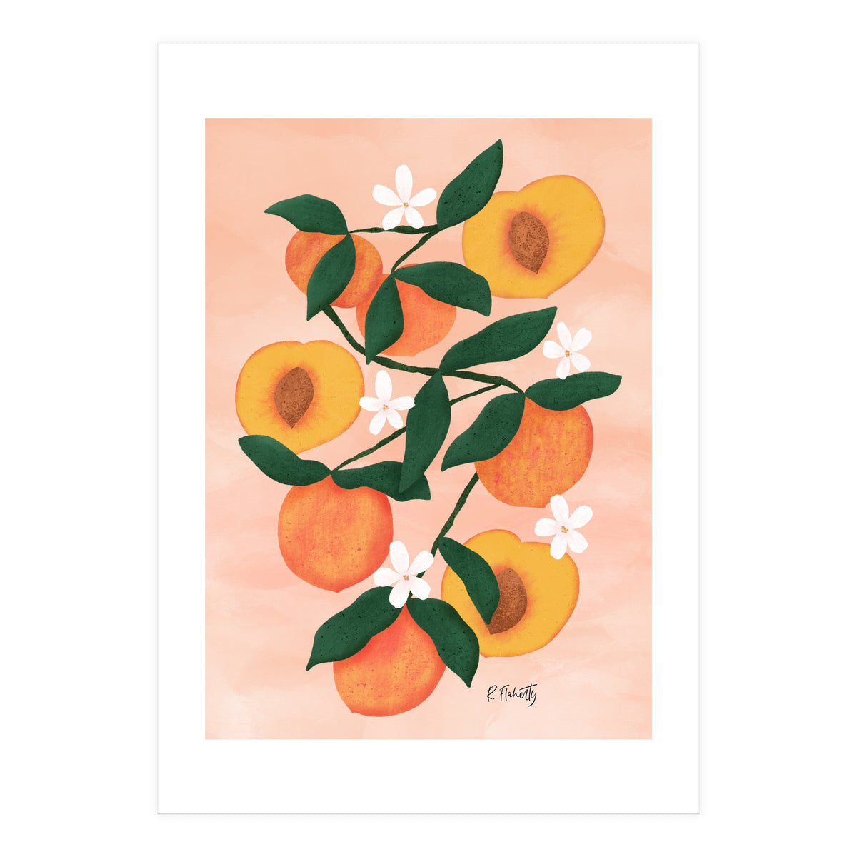 Summer Peaches (Print Only)