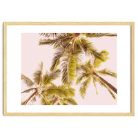Blush Pink Boho Palm Trees