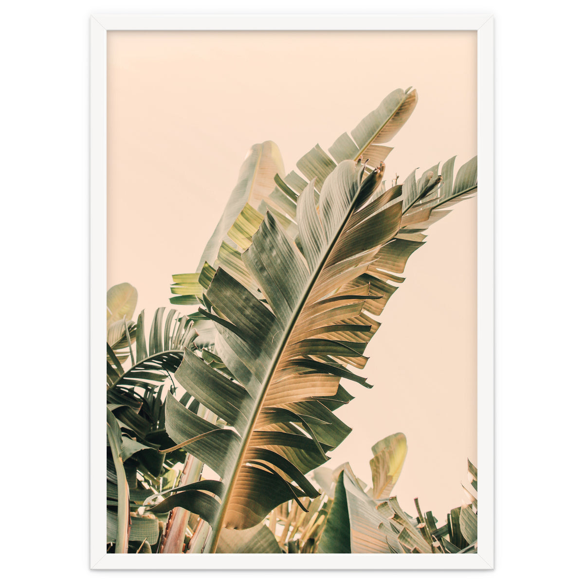 Growing Green Alicia Bock