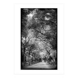 Cemetery alley (Print Only) thumbnail