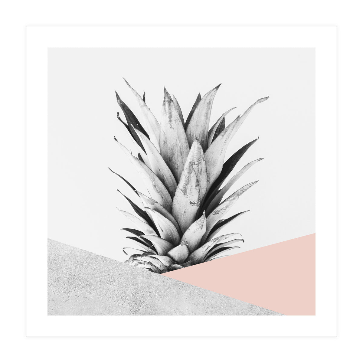 Scandinavian pineapple II (Print Only)