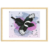 A watercolor drawing of a flying magpie
