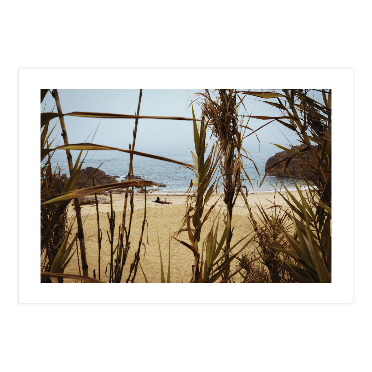 The Lure of a Tan (Print Only)